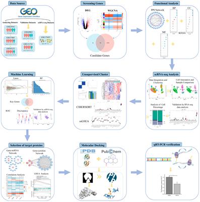 Elucidating common pathogenic transcriptional networks in infective endocarditis and sepsis: integrated insights from biomarker discovery and single-cell RNA sequencing